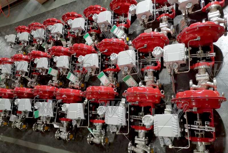 ��ҳ- Z6�����й����������ǲ�